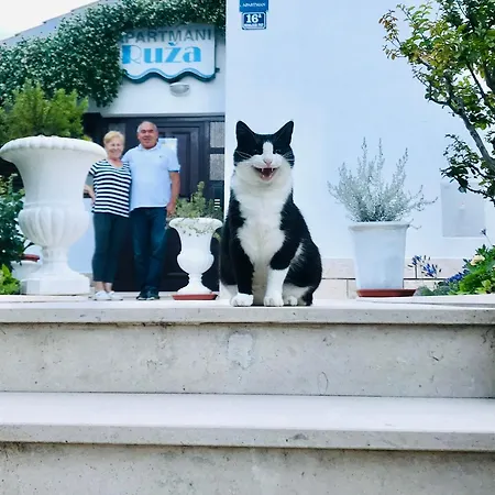 Ruza Kaštela