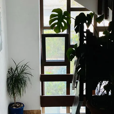 Apartman Ruza Kaštela
