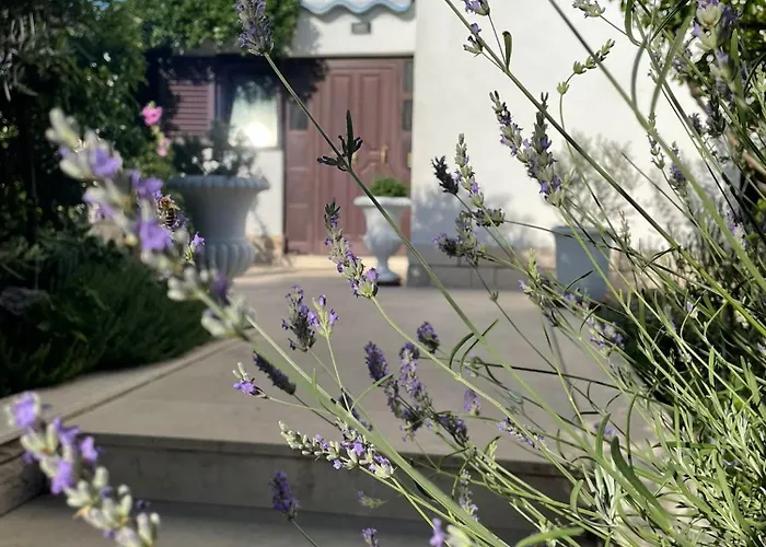 Ruza Апартаменты Каштела